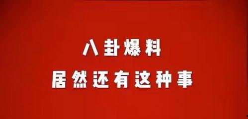 娱乐爆料八卦模板,当红明星背后的惊人真相！  第2张